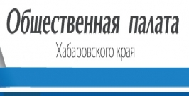Члены ОП Хабаровского края выясняют, как выселить людей из бараков вблизи арены &quotЕрофей&quot ИА AmurMedia